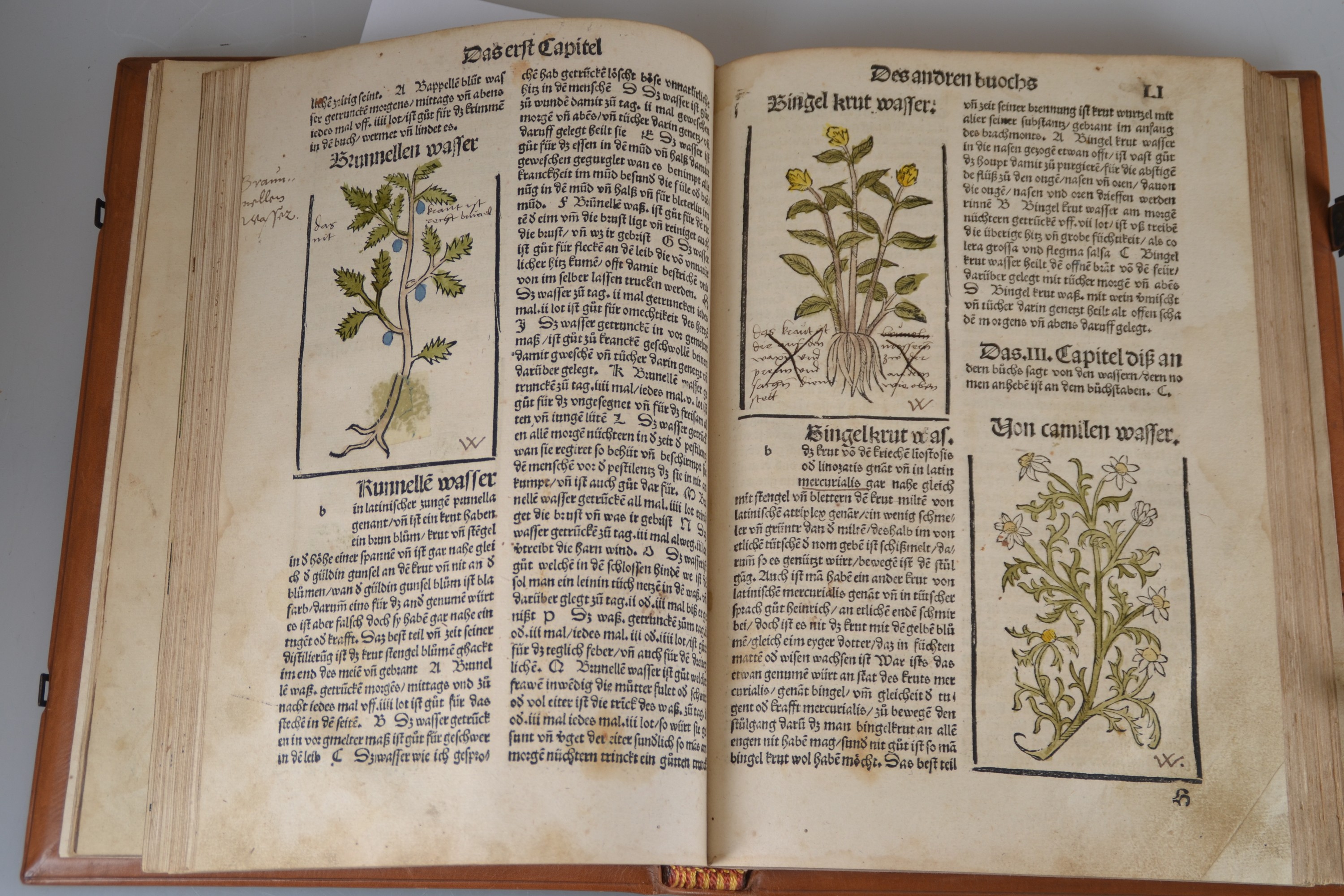 Detail c: Hieronymus Brunschwig (um 1450-1512): Das Destilierbuch, Straßburg, Johann Grüninger 1515, Lex. 8°, 130 gezählte Folios mit ungezähltem Zusatz ...