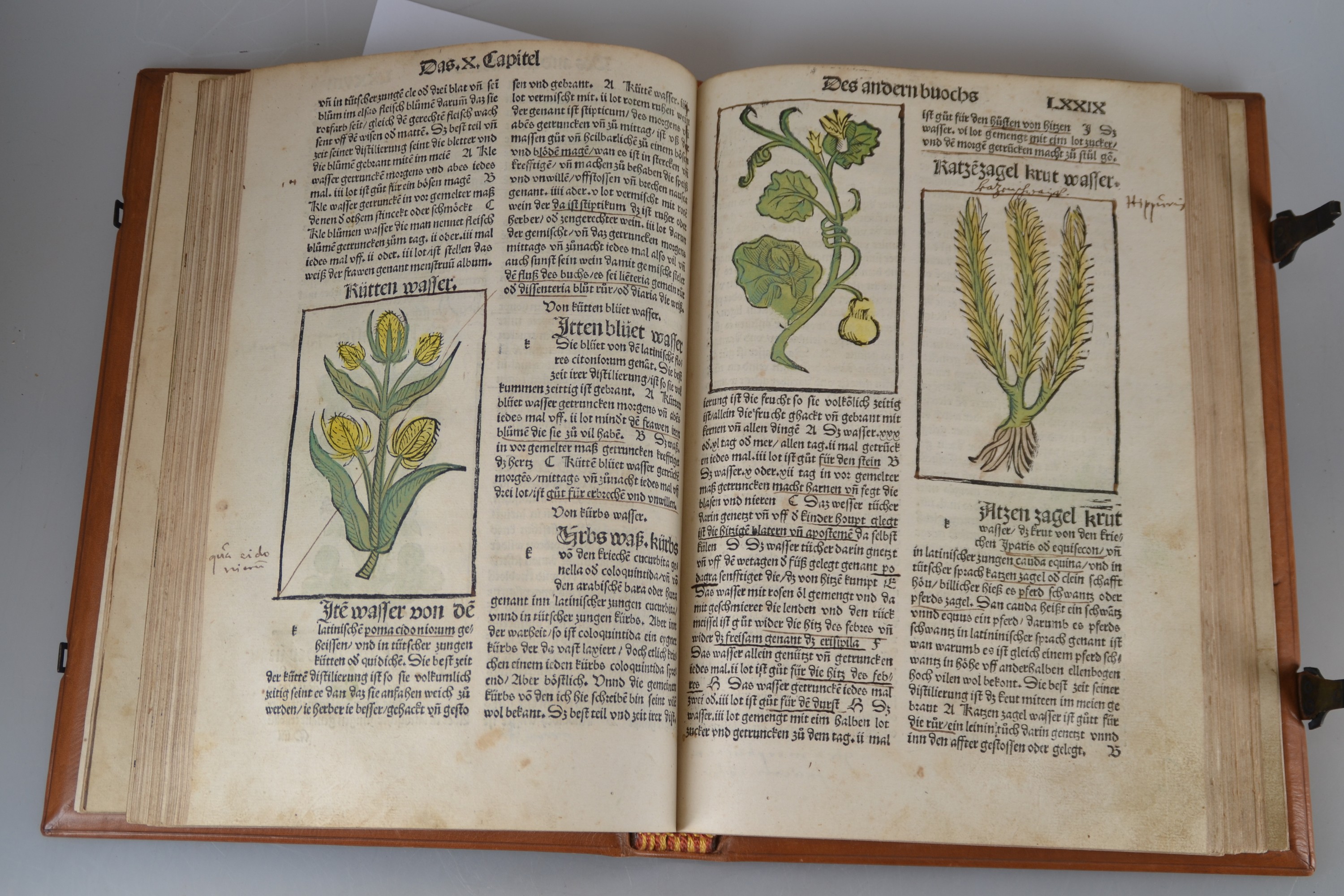 Detail d: Hieronymus Brunschwig (um 1450-1512): Das Destilierbuch, Straßburg, Johann Grüninger 1515, Lex. 8°, 130 gezählte Folios mit ungezähltem Zusatz ...