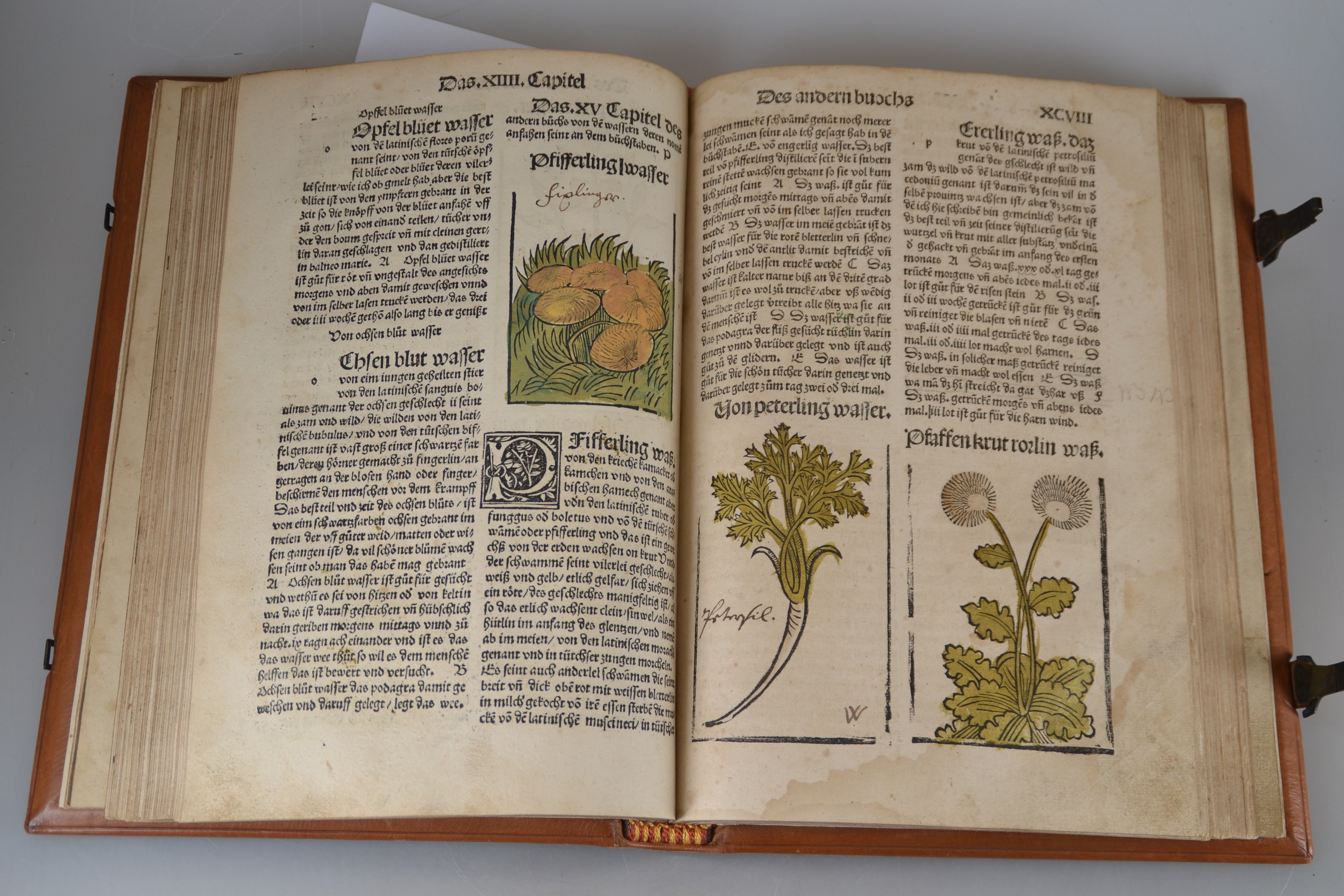 Detail e: Hieronymus Brunschwig (um 1450-1512): Das Destilierbuch, Straßburg, Johann Grüninger 1515, Lex. 8°, 130 gezählte Folios mit ungezähltem Zusatz ...