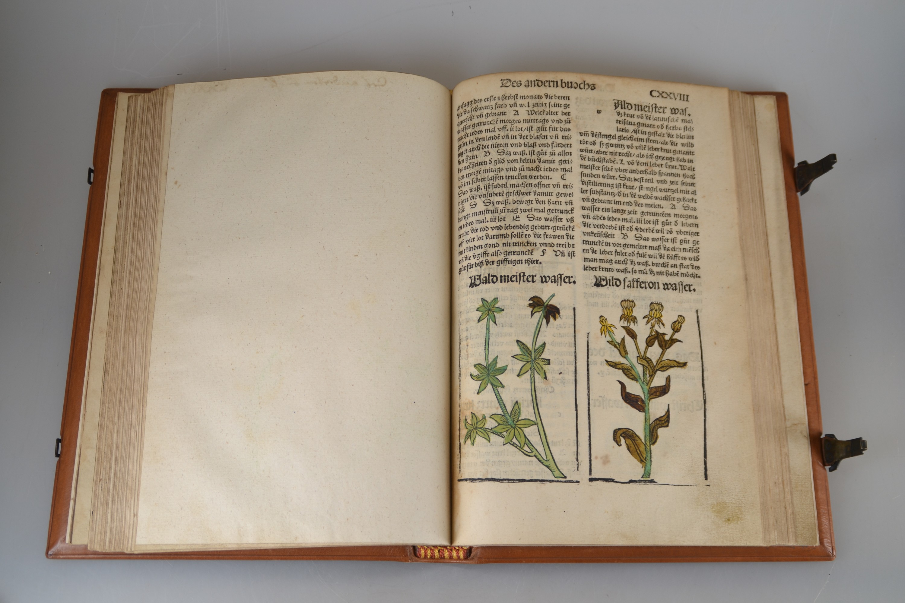 Detail h: Hieronymus Brunschwig (um 1450-1512): Das Destilierbuch, Straßburg, Johann Grüninger 1515, Lex. 8°, 130 gezählte Folios mit ungezähltem Zusatz ...