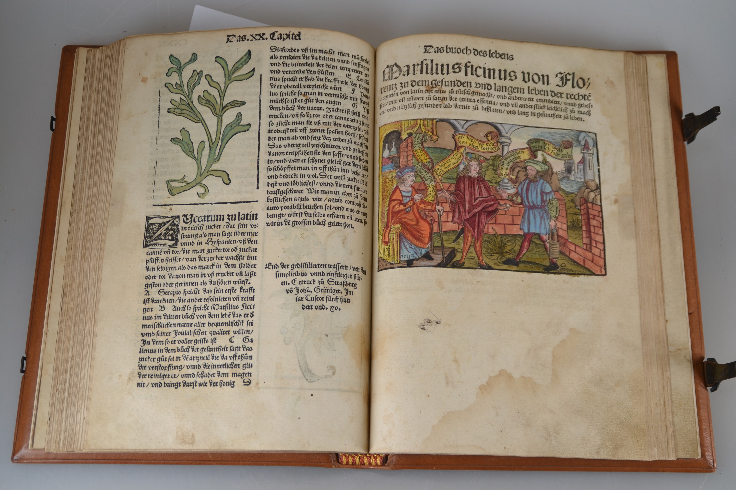 Detail i: Hieronymus Brunschwig (um 1450-1512): Das Destilierbuch, Straßburg, Johann Grüninger 1515, Lex. 8°, 130 gezählte Folios mit ungezähltem Zusatz ...