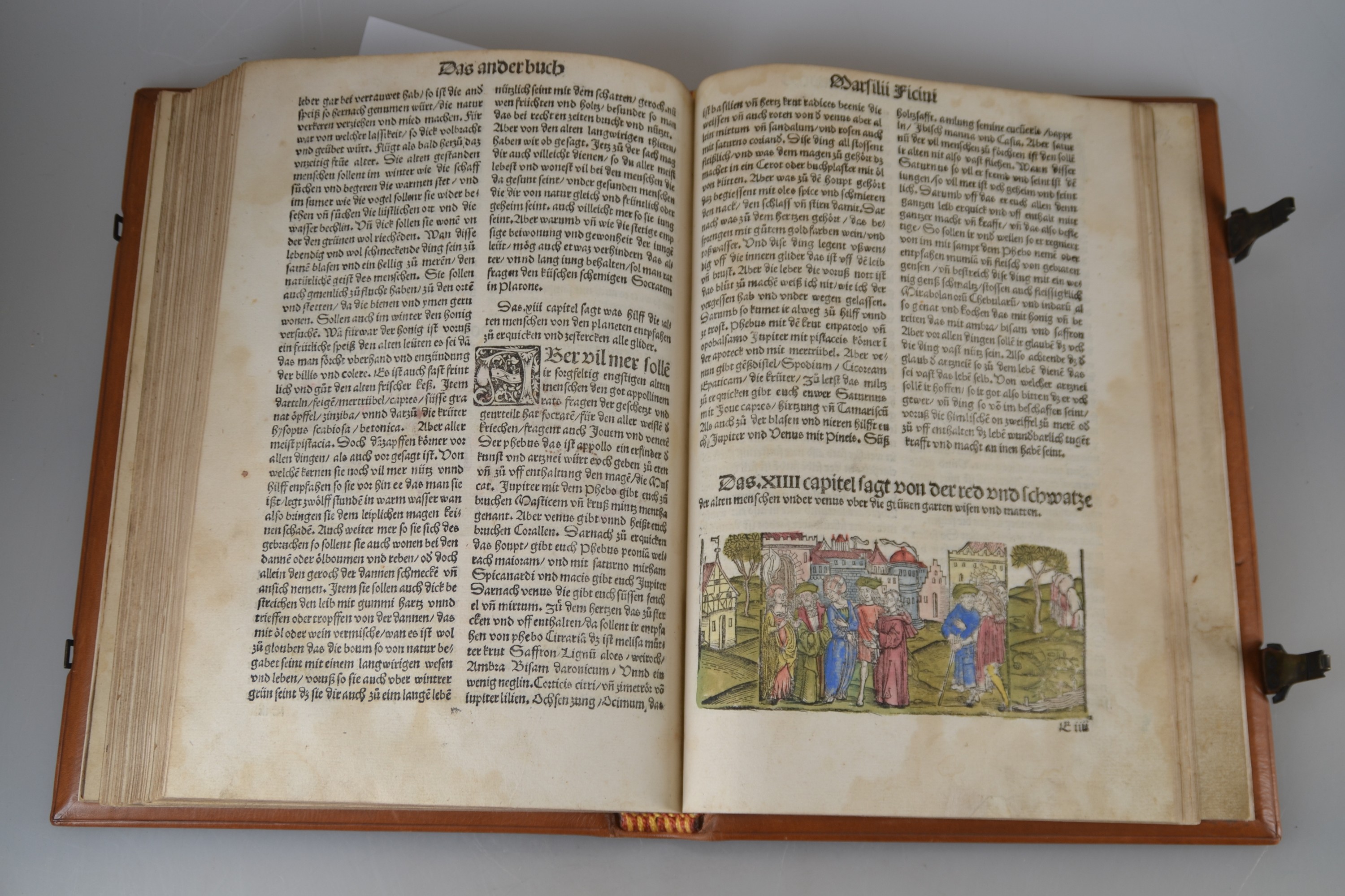 Detail n: Hieronymus Brunschwig (um 1450-1512): Das Destilierbuch, Straßburg, Johann Grüninger 1515, Lex. 8°, 130 gezählte Folios mit ungezähltem Zusatz ...
