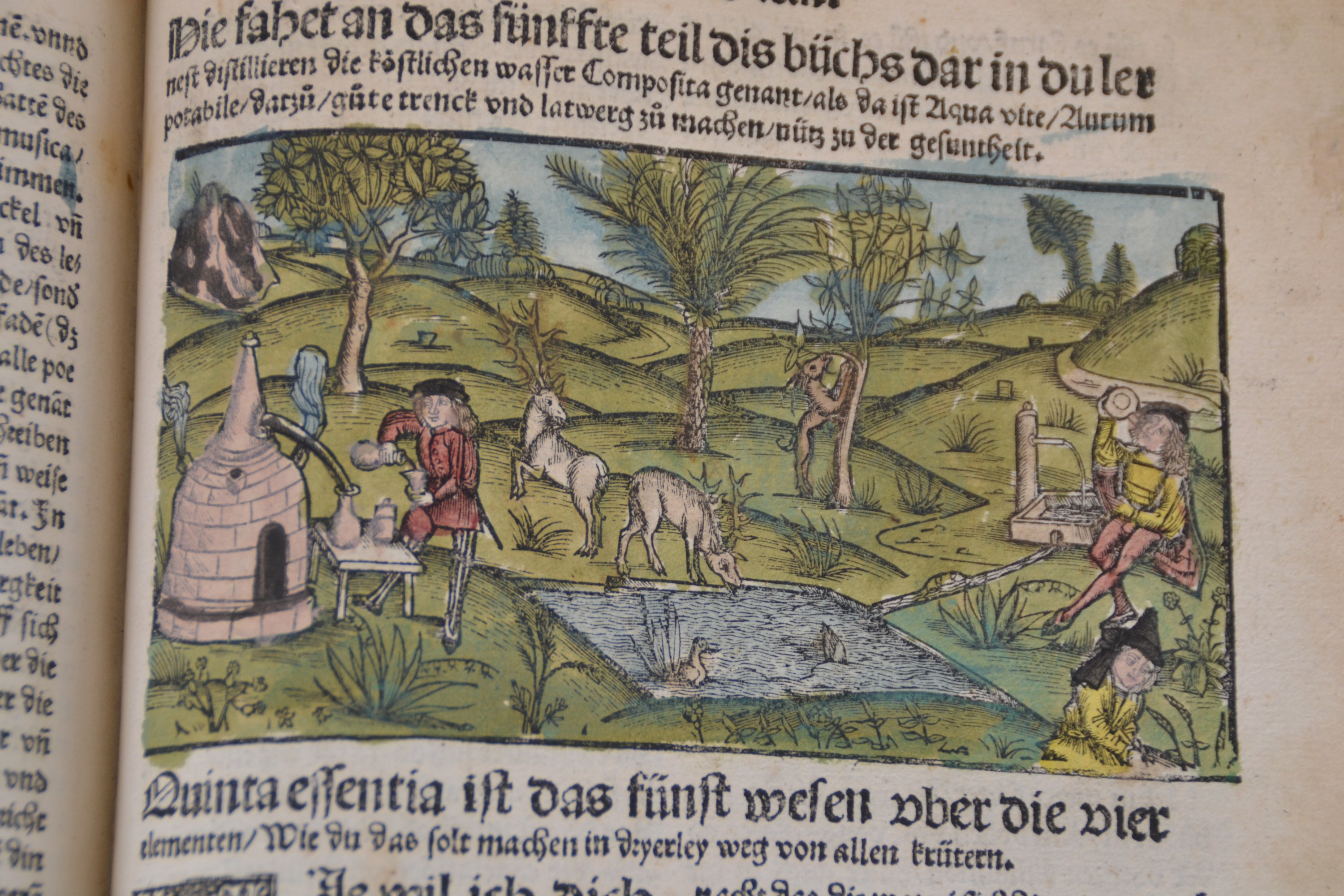 Detail o: Hieronymus Brunschwig (um 1450-1512): Das Destilierbuch, Straßburg, Johann Grüninger 1515, Lex. 8°, 130 gezählte Folios mit ungezähltem Zusatz ...