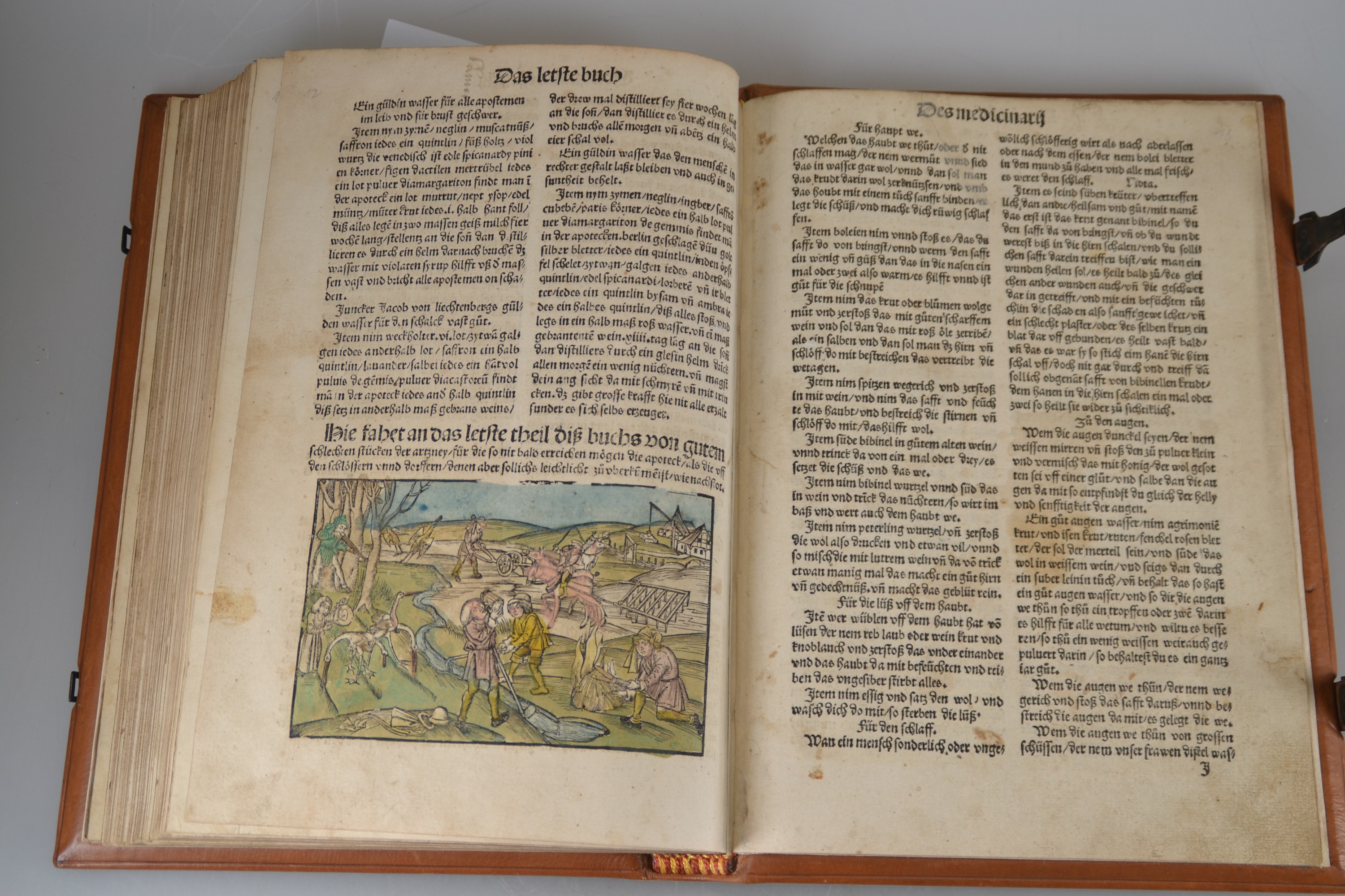 Detail q: Hieronymus Brunschwig (um 1450-1512): Das Destilierbuch, Straßburg, Johann Grüninger 1515, Lex. 8°, 130 gezählte Folios mit ungezähltem Zusatz ...