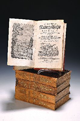 James Sowerby & James Edward Smith: English Botany, 4 Bd., London, Sowerby 1790-1814 Supplement 1831, gr.8°, Bd. 13, 14, 15 und Supplement Vol. I, ...