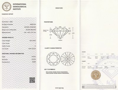 26949256a - Loser Brillant 1.0 ct l.get.Weiß (I)/p2, eingeschweißt, IGI-Report 11/2022