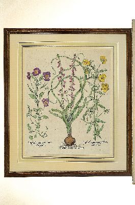 26950932k - Basilius Besler, Botanik, 17. Jh., zwei kolorierte Kupferstiche, PP-Ausschnitt ca. 49 x ...