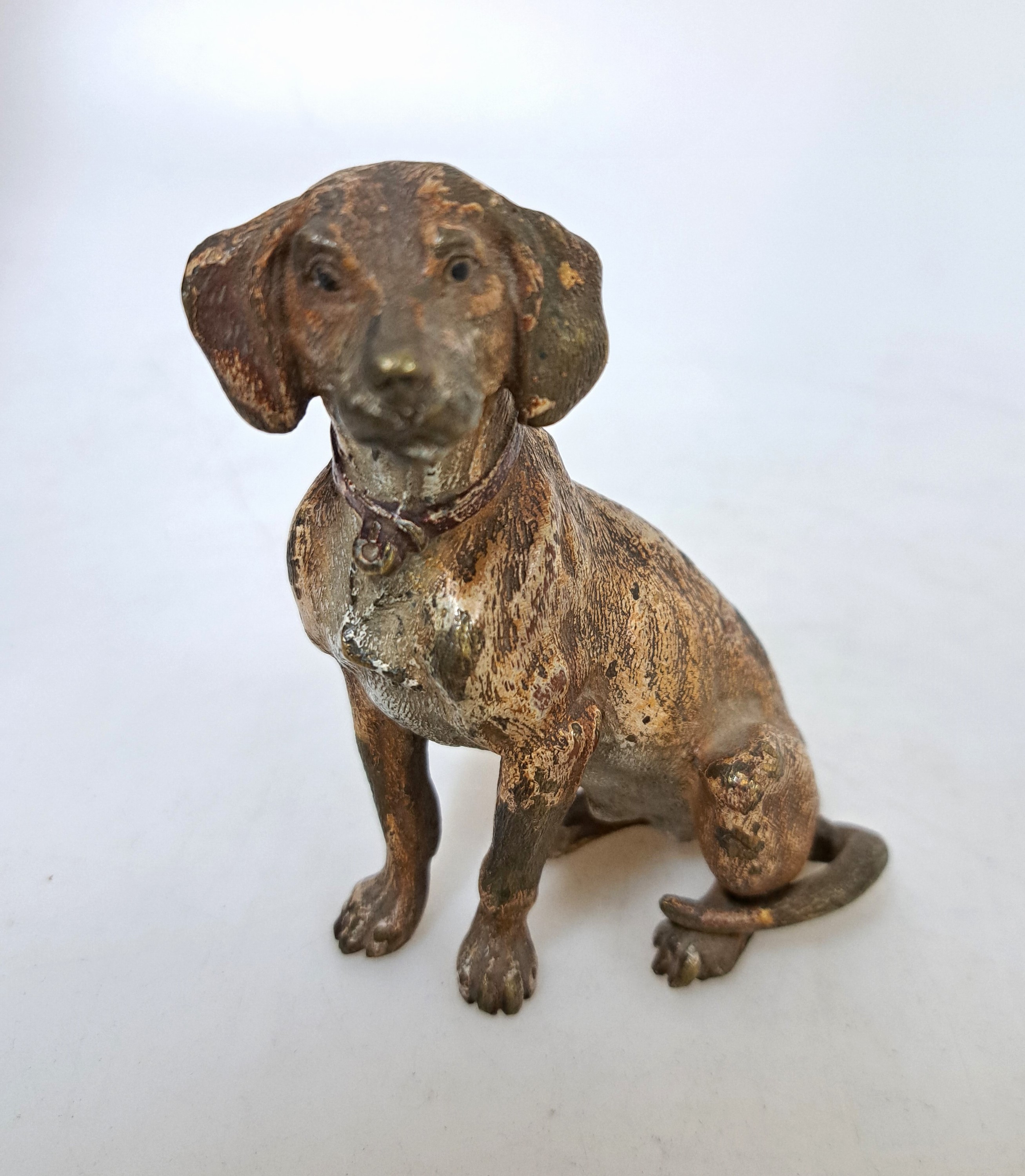 Detail d: Große Wiener Bronze, um 1900, sitzender Schweißhund, naturalistisch polychrom staffiert, massiv, ca. 10.5x11.5 cm, ungemarkt