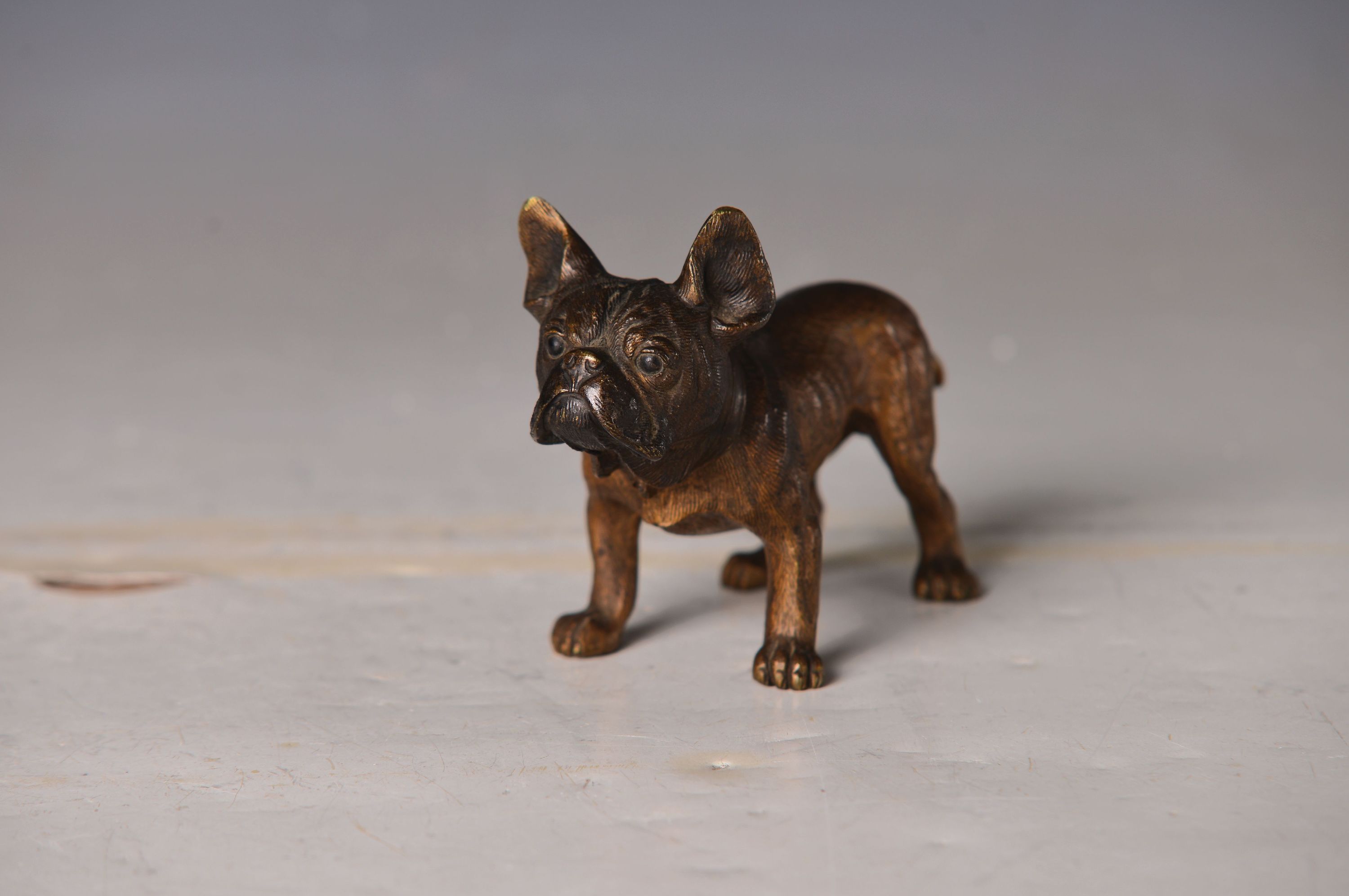 Detail a: Große Wiener Bronze, um 1900, stehende Bulldogge, ungemarkt, Pfotenunterseiten mit Bohrung für Sockel, ca. 9x13 cm, an einem Ohr l. berieben