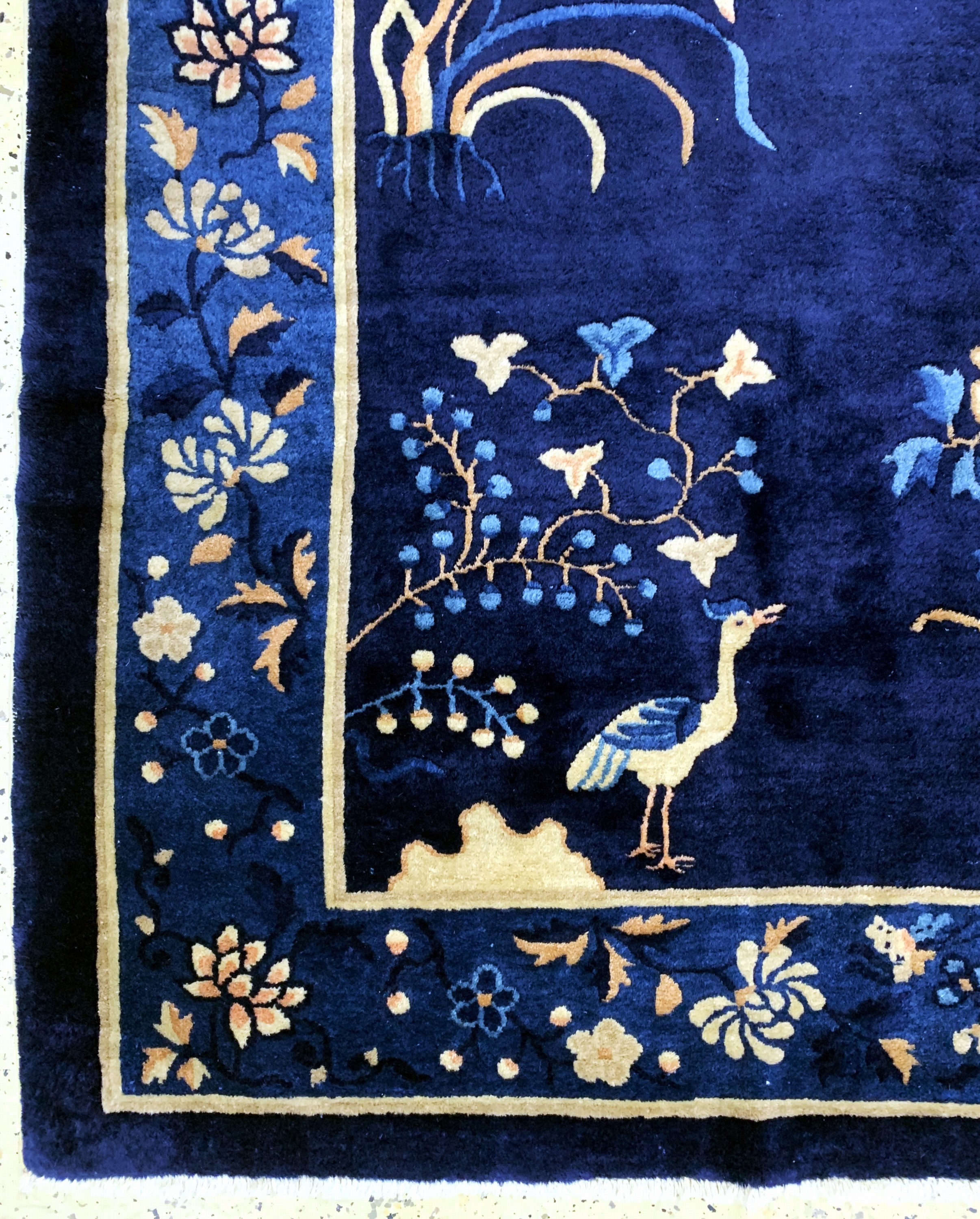 Detail e: Antiker Peking"Phönix", China, um 1900, Wolle auf Baumwolle, ca. 280 x 185 cm, gereinigt, EHZ: 2