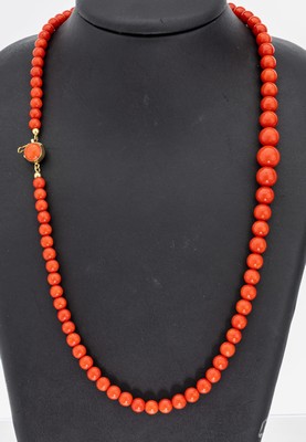 Image 26958322 - Korallen-Collier mit 18 kt Gold Schließe, GG 750/000, Korallen-Kugeln im Verlauf, ...