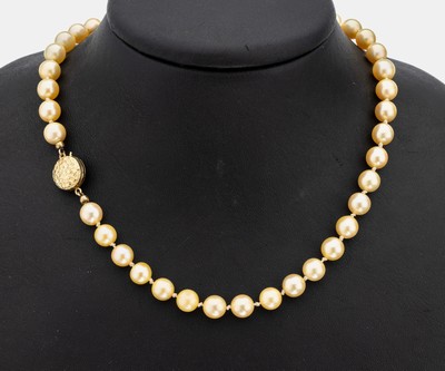 Image 26959130 - Zuchtperl-Collier mit 14 kt Gold Schließe, GG 585/000, 55 goldfarb. ...