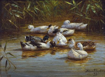 Image 26961869 - Hubert Kaplan, 1940-2024 Egling, Ententeich, Schilfausschnitt mit 8 Enten, rechts unten ...