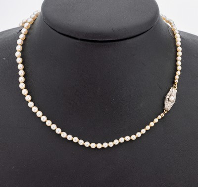 Image 26964258 - Orientperl-Collier, um 1900, Perlen mit schönem Lüster im Verlauf angeordnet, ...