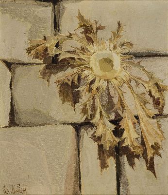 Image 26966503 - Chistel Abresch, 1931 Sulzbach-2011 Neustadt , Stillleben mit Verblühter Distel vor ...