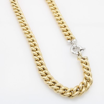 Image Panzercollier, GG/WG 585/000, Federringschl., L. ca. 45 cm
