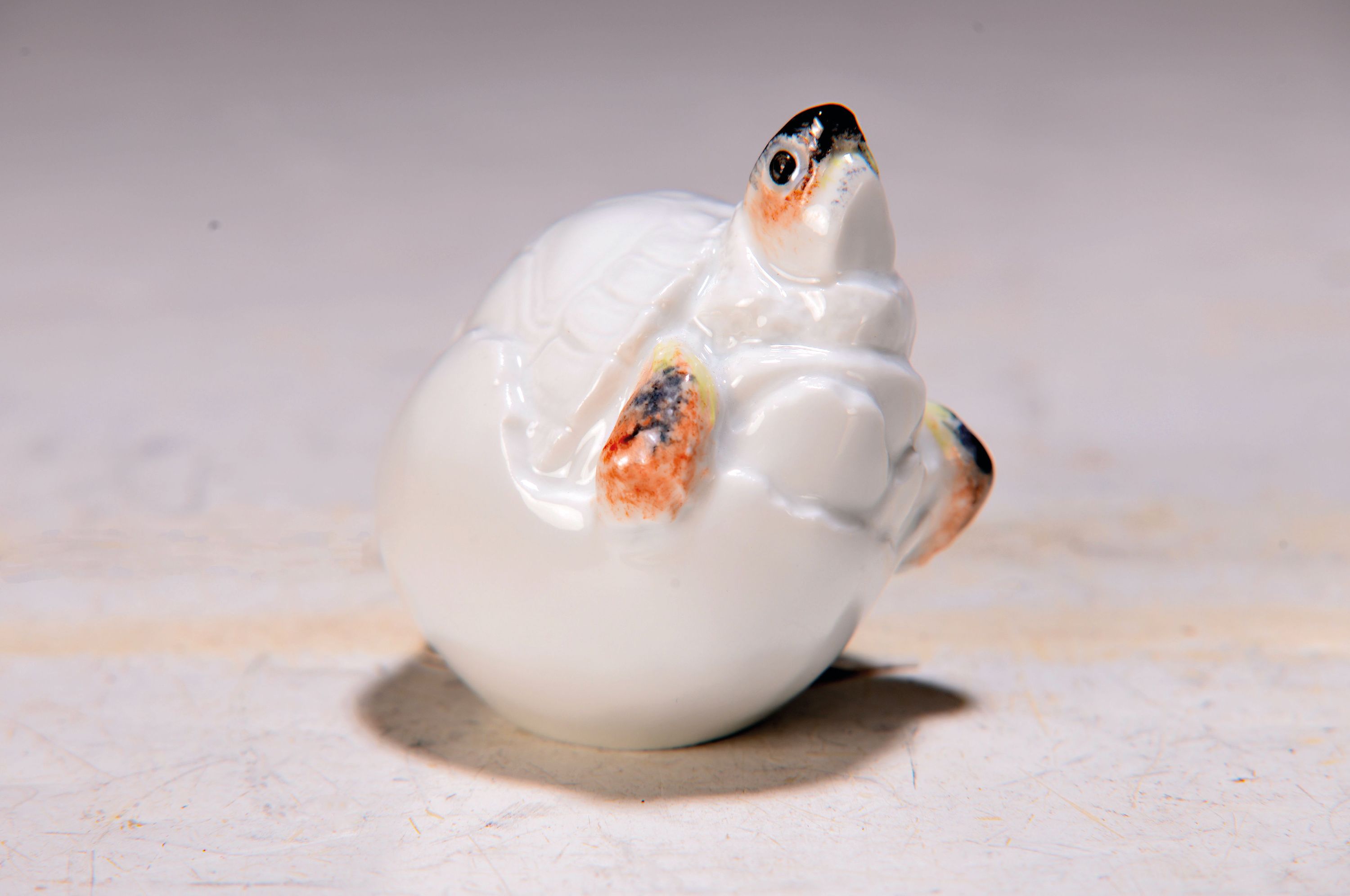 Kleine Porzellanfigur schlüpfende Schildkröte, Meissen, 1990/2000er-Jahre, Porzellan, Nr . 2521, handbemalt, H. 5 cm