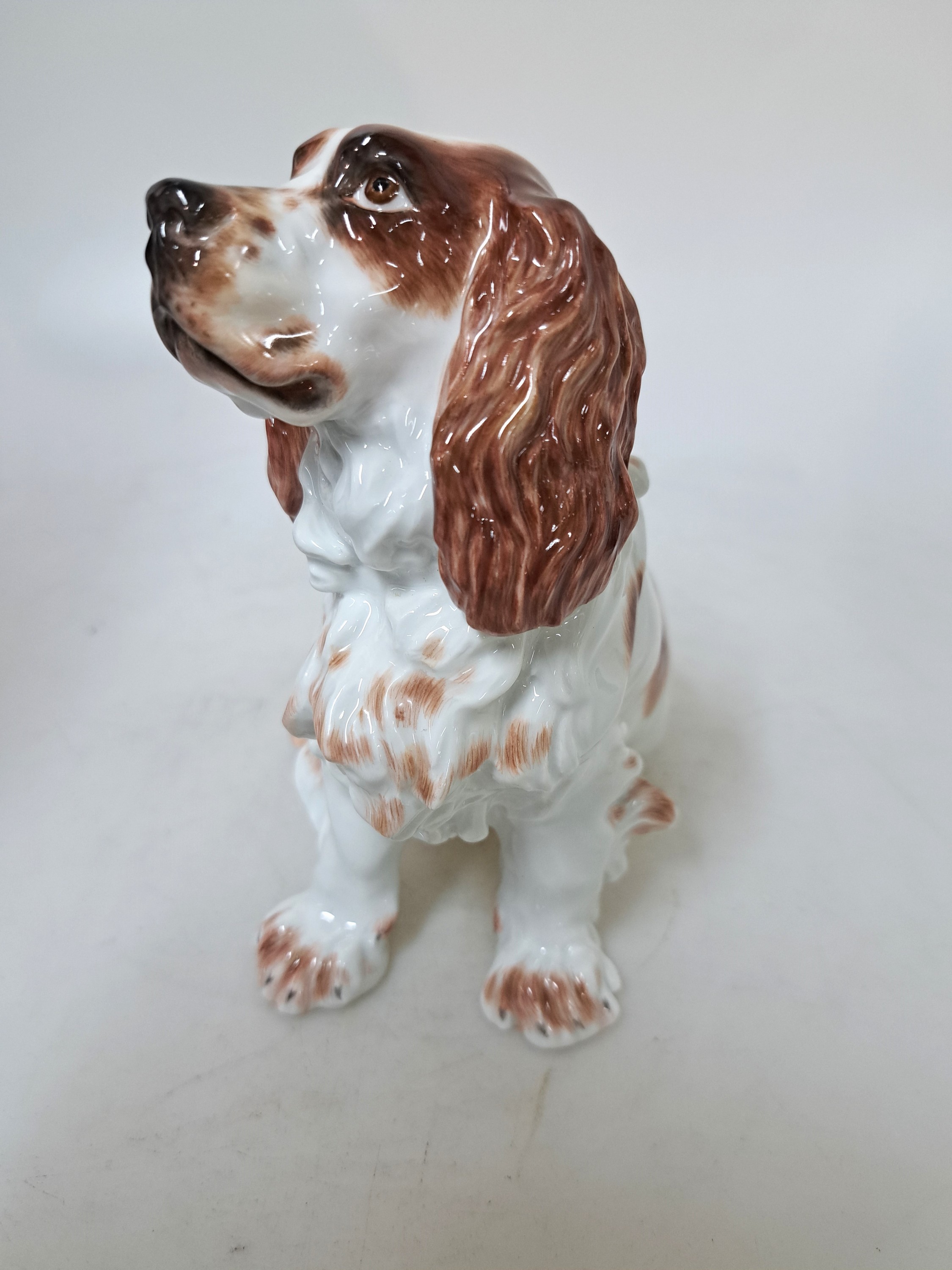 Detail b: Porzellanfigur Spaniel, Meissen, 20.Jh., Porzellan, Nr. 78869, handbemalt, H. 15 cm