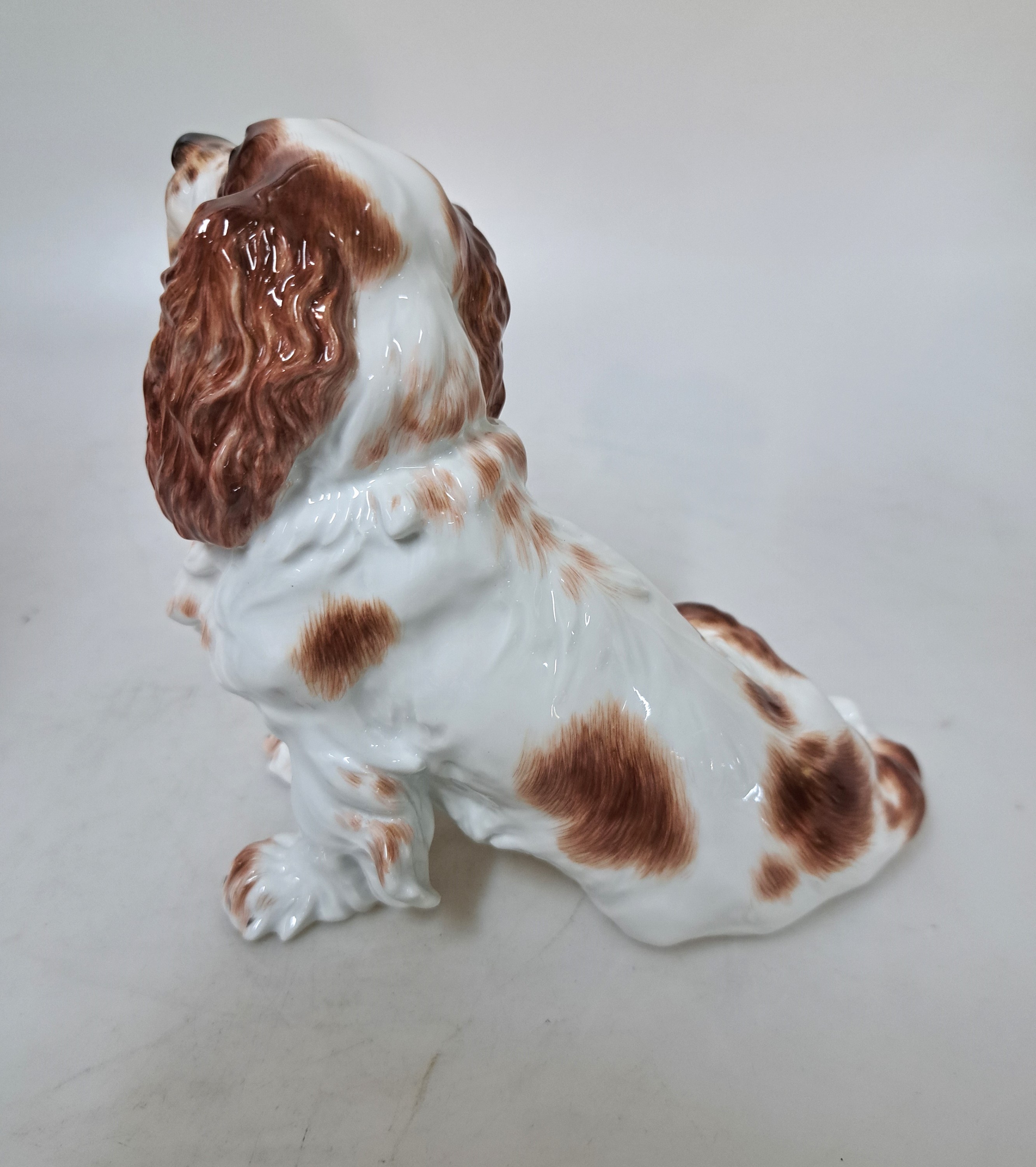 Detail c: Porzellanfigur Spaniel, Meissen, 20.Jh., Porzellan, Nr. 78869, handbemalt, H. 15 cm