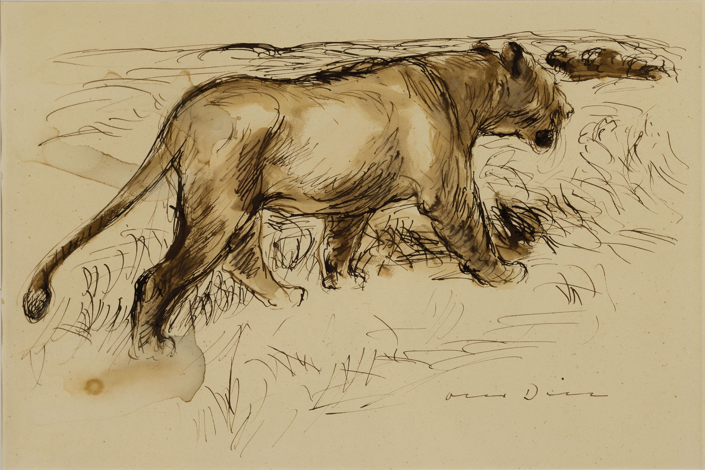 Otto Dill, 1884 Neustadt-1957 Bad Dürkheim, aquarellierte Tuschezeichnung, schreitende Löwin, signiert, Ausschnitt PP 22x33 cm, qualitätvoll ...