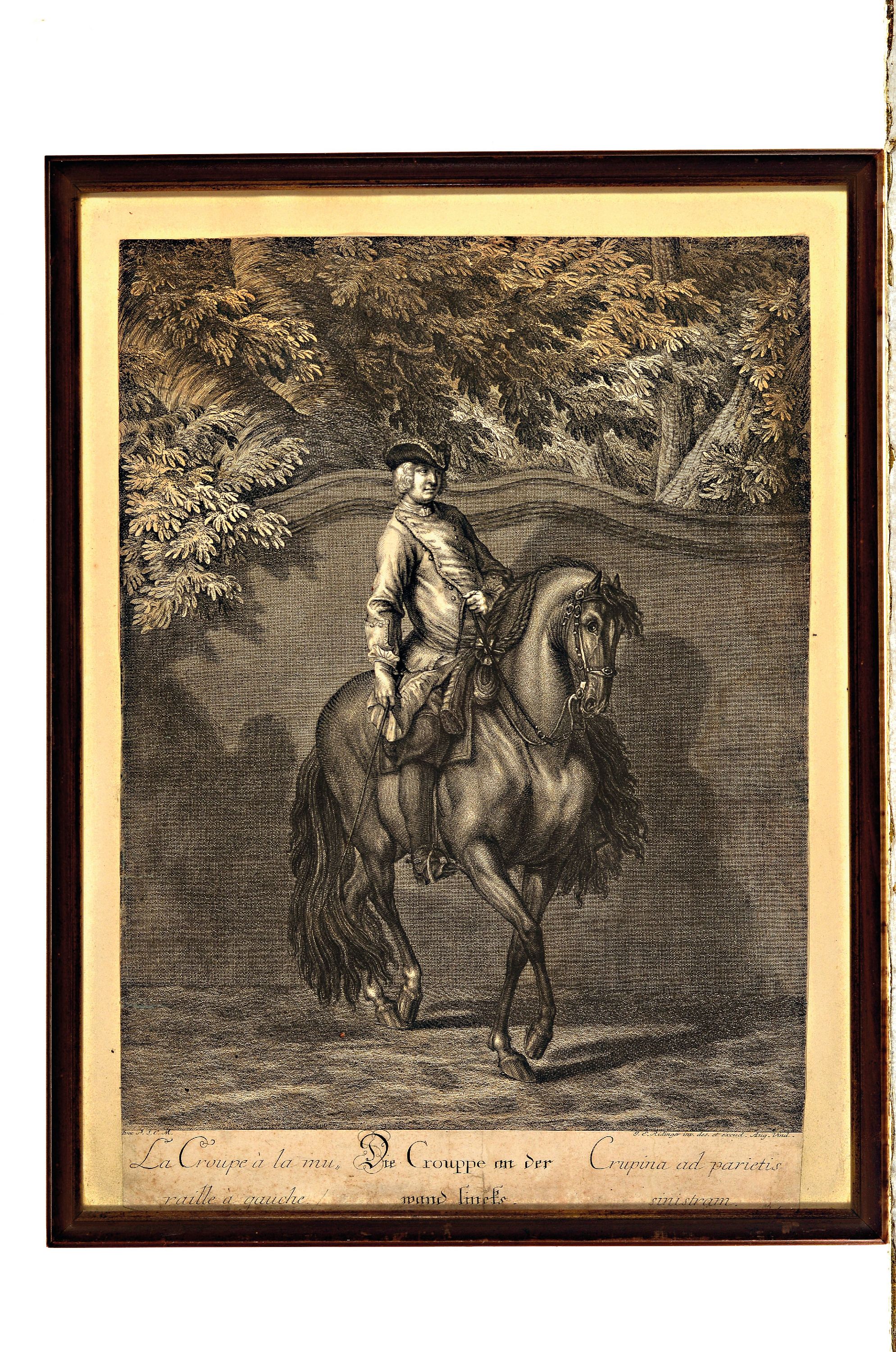Detail m: Reitschule: 4 Druckgrafiken des 18. Jahrhunderts, Johann Elias Ridinger (1698 -1767): "Gepanzerte oder mit einer jacke bekleidete Leib und Camer ...