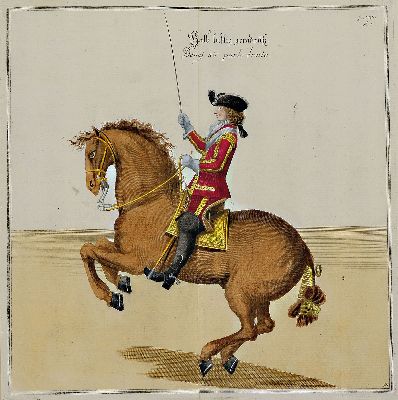 26970955a - Reitschule: 4 Druckgrafiken des 18. Jahrhunderts, Johann Elias Ridinger (1698 -1767): ...