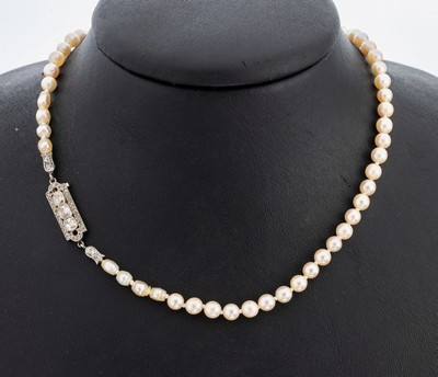 Image 26972400 - Zuchtperl-Collier mit 14 kt Gold Diamant- Schmuckschließe, GG 585/000, ...