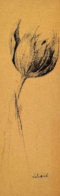 Image 26973739 - Christian Schad, 1894 Miesbach-1982 Stuttgart, , Bleistiftzeichnung, Studie einerTulpe, ...