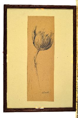 26973739k - Christian Schad, 1894 Miesbach-1982 Stuttgart, , Bleistiftzeichnung, Studie einerTulpe, ...