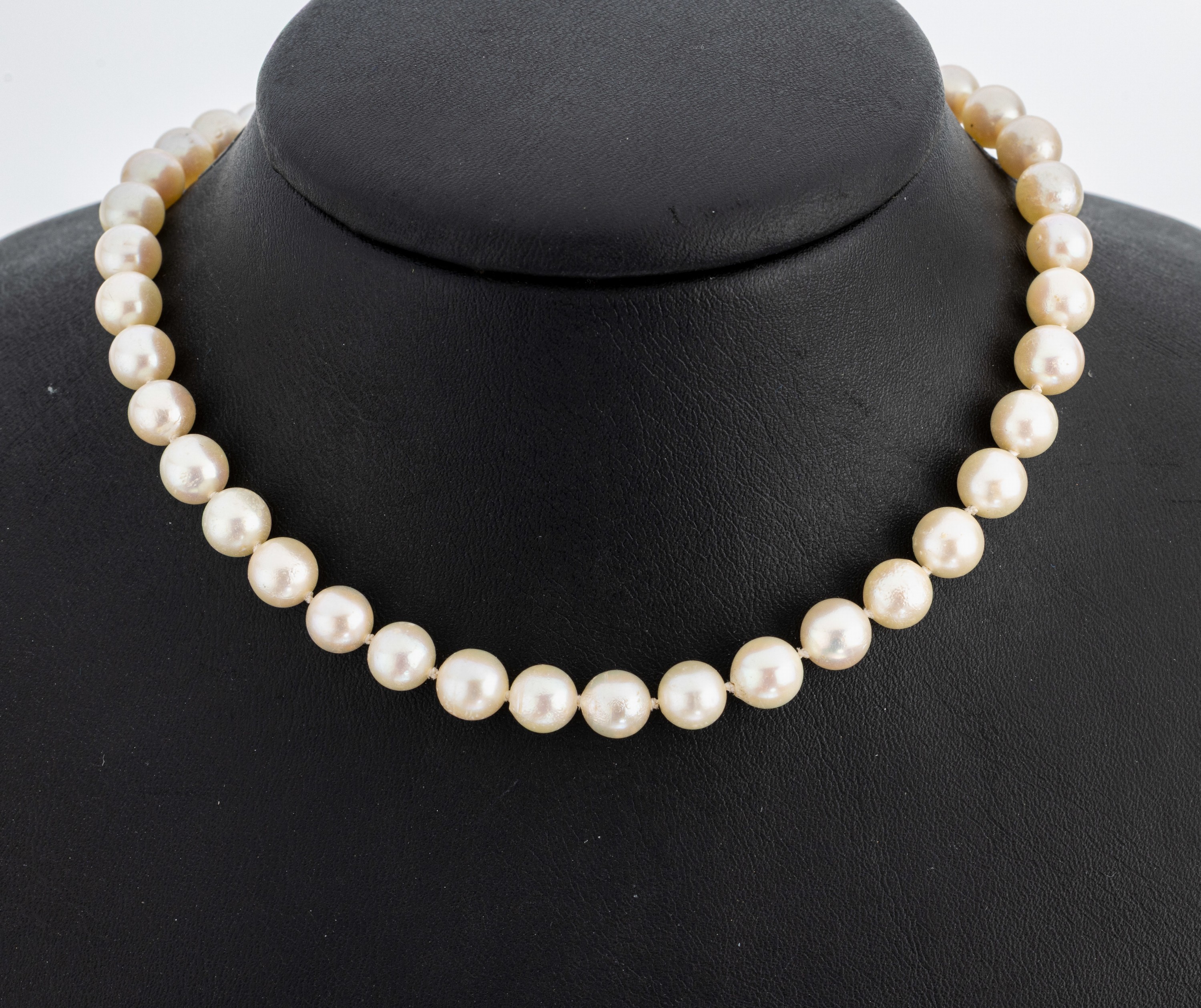 Image 26975094 - Zuchtperl-Collier, endlos, Akoyazuchtperlen, D. ca. 7.2 mm, L. ca. 86 cm