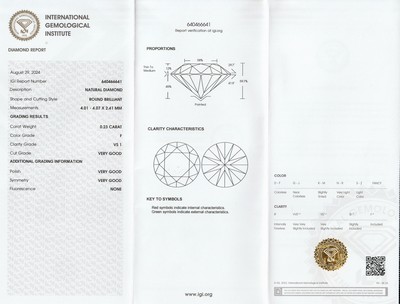 26975519a - Loser Brillant, 0.23 ct feines Weiß+(F)/vs1, eingeschweißt, mit IGI-Expertise ...