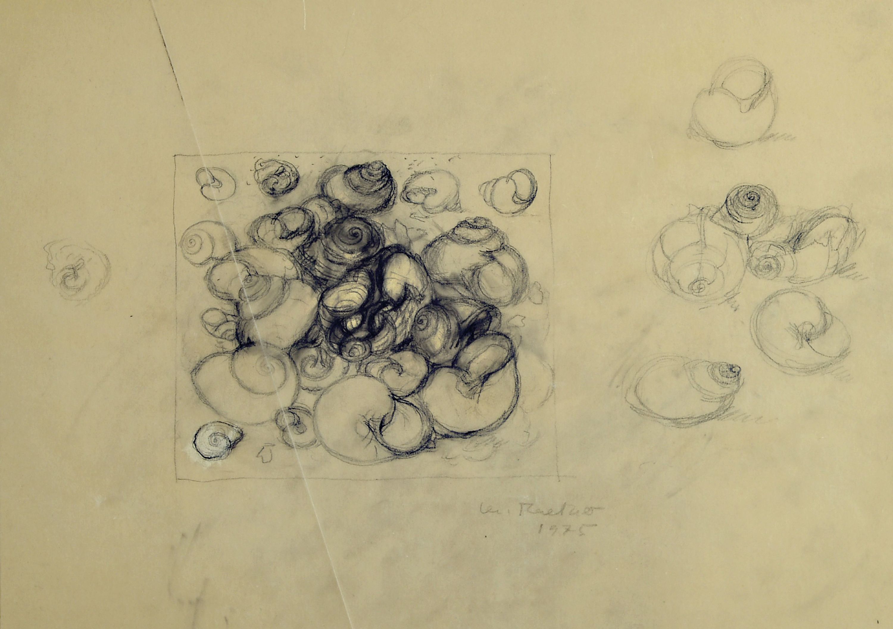 Detail a: Christiane Maether, 1941 Berlin-2024 Mannheim, 3 Zeichnungen in Bleistift, Kohle und Tusche, alle sign., je ca. 22x30cm, "Der Tod der ...