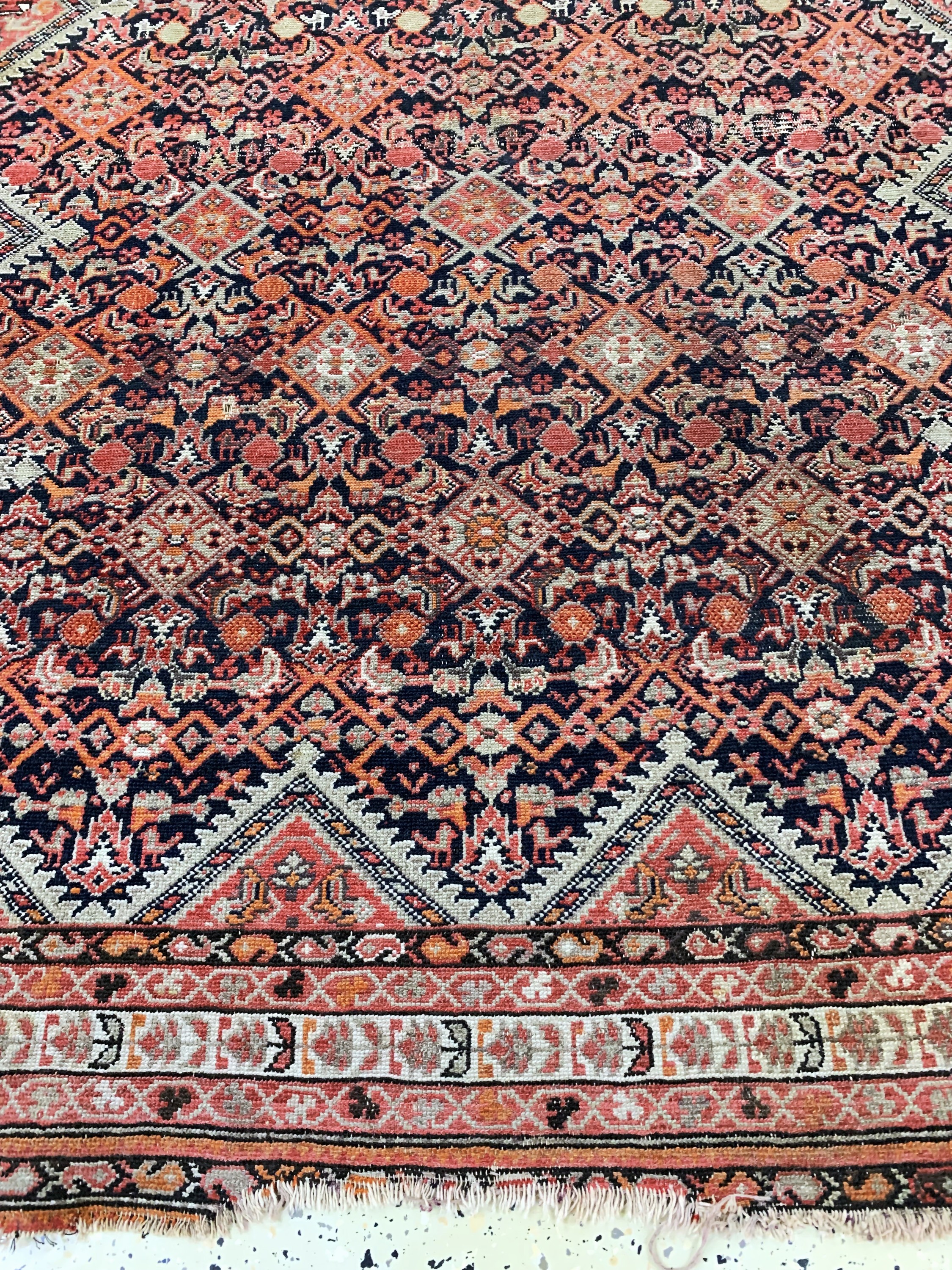 Detail c: Malayer antik, Persien, 19.Jhd, Wolle auf Baumwolle, ca. 190 x 140 cm, EHZ: 4