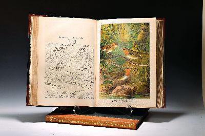Image 26981091 - Johann Friedrich Naumann (1780-1857): Naturgeschichte der Vögel Mitteleuropas, 12 ...