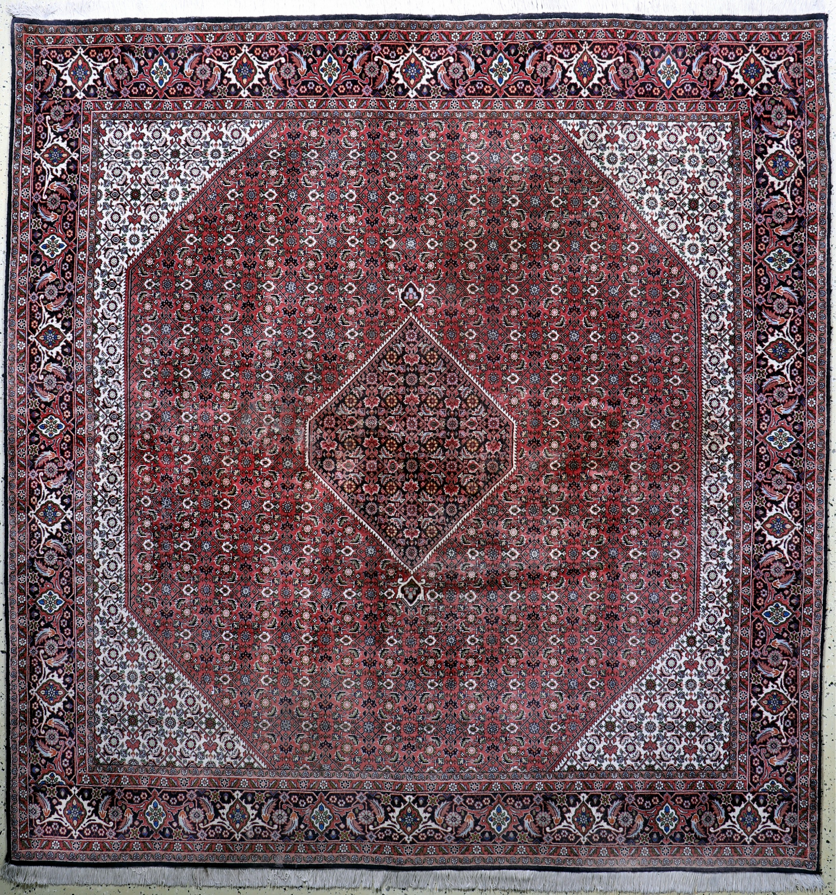 Bidjar fein, Persien, Ende 20.Jhd, Korkwolle auf Baumwolle, ca. 255 x 246 cm, EHZ: 2