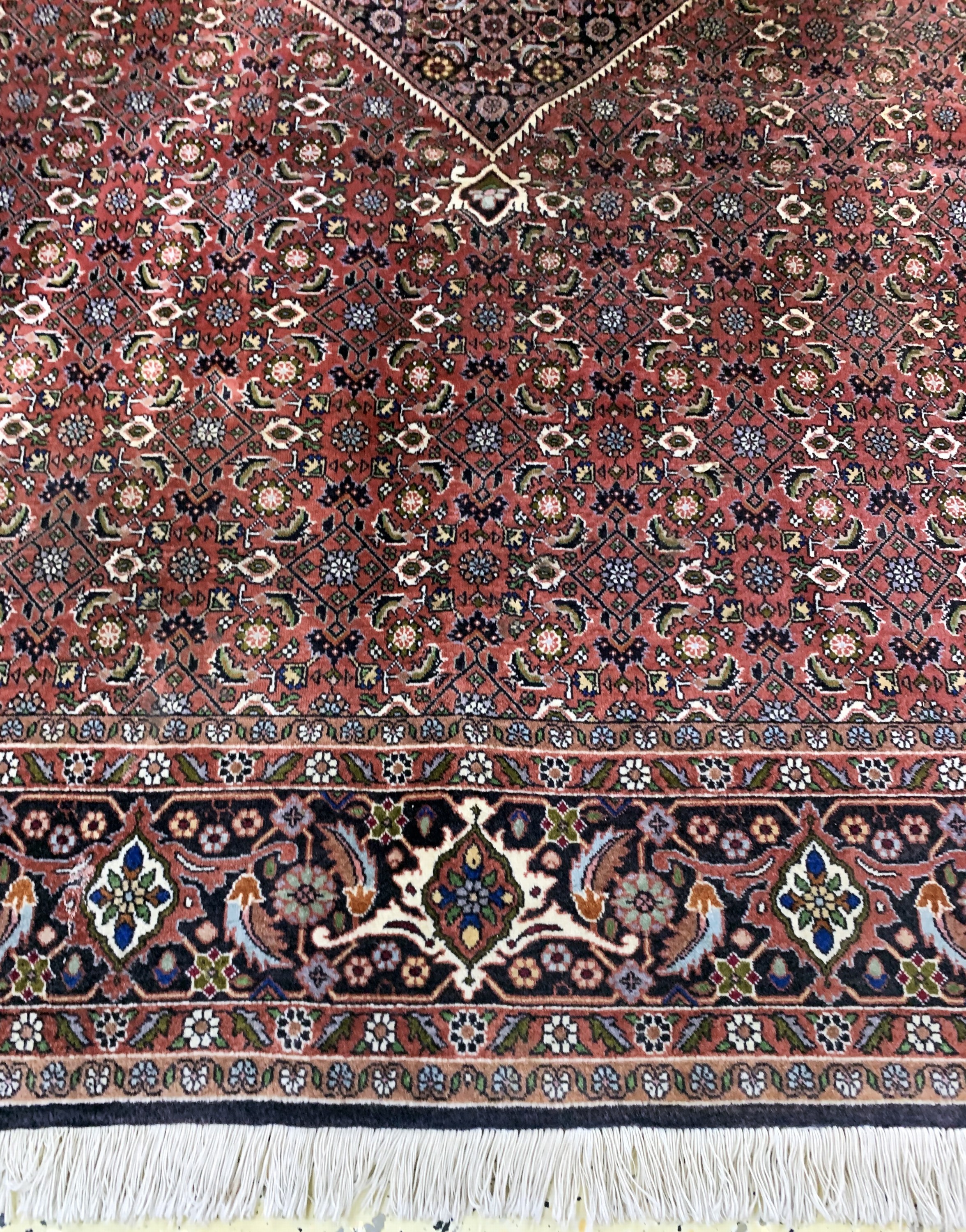 Detail b: Bidjar fein, Persien, Ende 20.Jhd, Korkwolle auf Baumwolle, ca. 255 x 246 cm, EHZ: 2