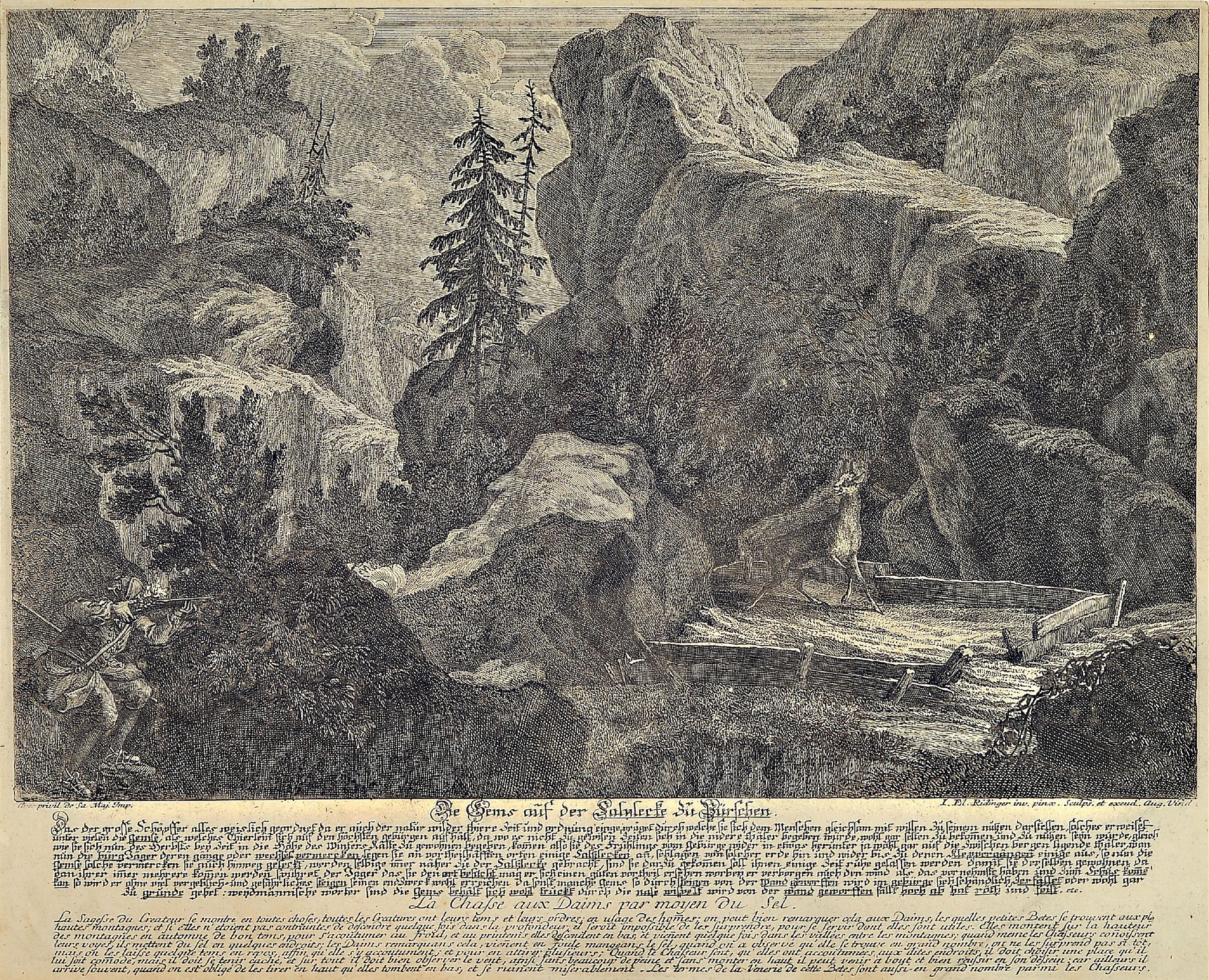 Detail c: Johann Elias Ridinger, 1698 - 1767, 4 Kupferstiche, Die Gems auf der Salnhecke zu Pürschen, ca. 33 x 41 cm, unter Glas, PP., Rahmen ca. 48 x54 cm, ...