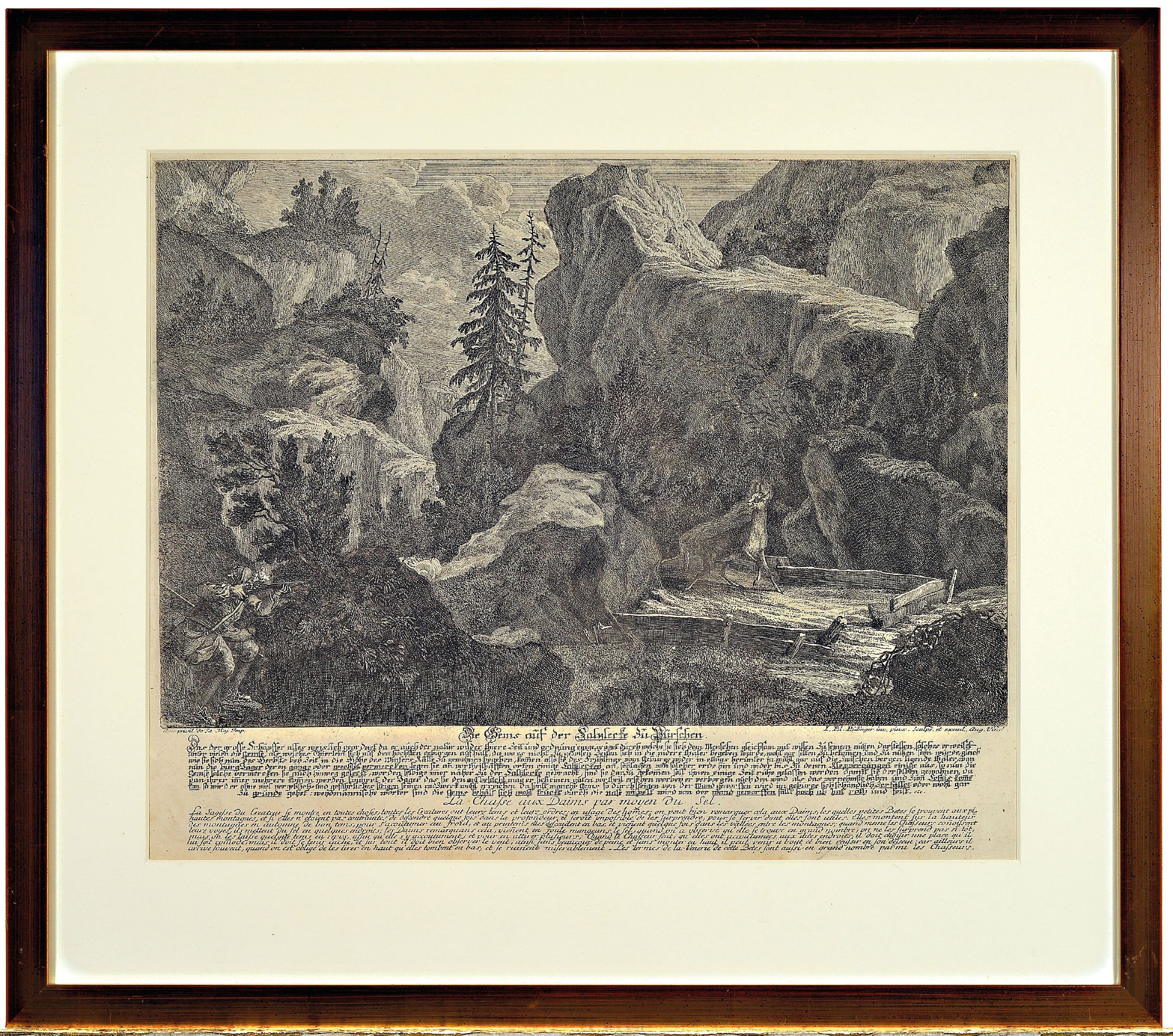 Detail n: Johann Elias Ridinger, 1698 - 1767, 4 Kupferstiche, Die Gems auf der Salnhecke zu Pürschen, ca. 33 x 41 cm, unter Glas, PP., Rahmen ca. 48 x54 cm, ...
