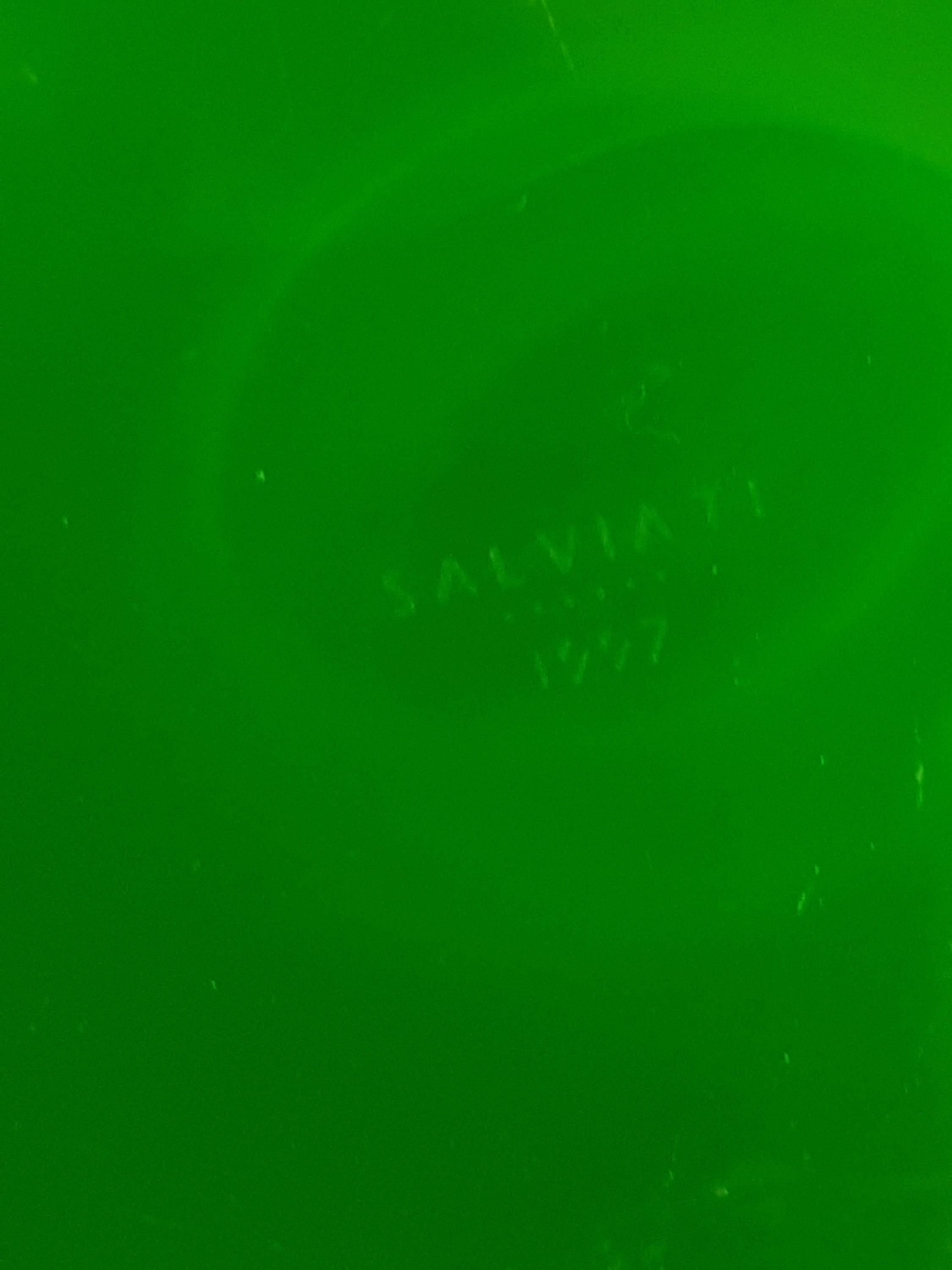 Detail d: Große Vase, Salviati Murano, datiert 1999, opak-blaues Glas mit eingeschmolzenen blauen Murinnen, grüner Außenüberfang, am Boden sign. und dat., ...