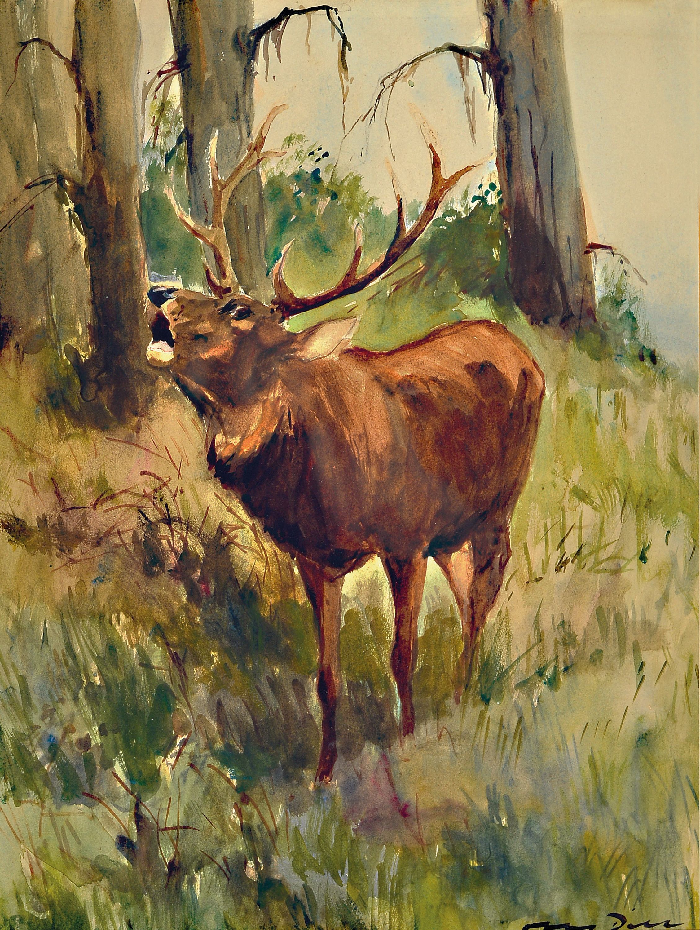 Image 26987105 - Otto Dill, 1884 Neustadt-1957 Bad Dürkheim, röhrender Hirsch, Aquarell auf Papier, ...