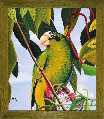 26987532k - Papagei auf Ast sitzend, bez. Meran 95, Acryl/Platte, ca. 70 x 60 cm, Rahmen