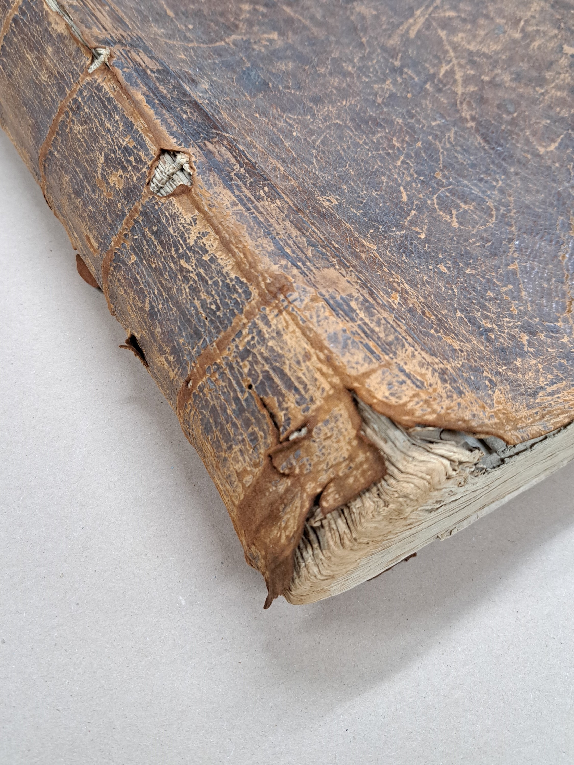 Detail c: Atlas Geographicus: Johann Baptist Homann (1664-1724), Nürnberg, 1720-50, 82 gebundene Karten und 21 ungebunden/eingelegte Karten; alle Welt ...