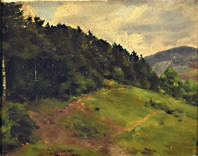 Image Theodor Esser, 1868 Bonn-1937 Karlsruhe, Schwarzwaldlandschaft, Öl/Karton, unsigniert, ...