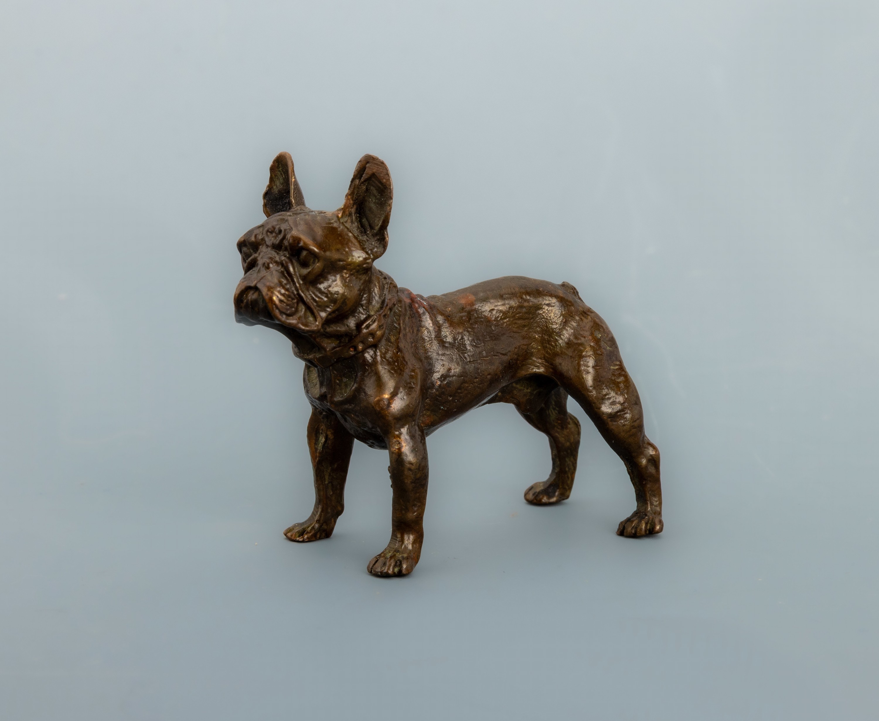 Image 26988082 - Wiener Bronze, Darstellung einer Französischen Bulldogge, naturalistisch, H. ca. 5.8 ...