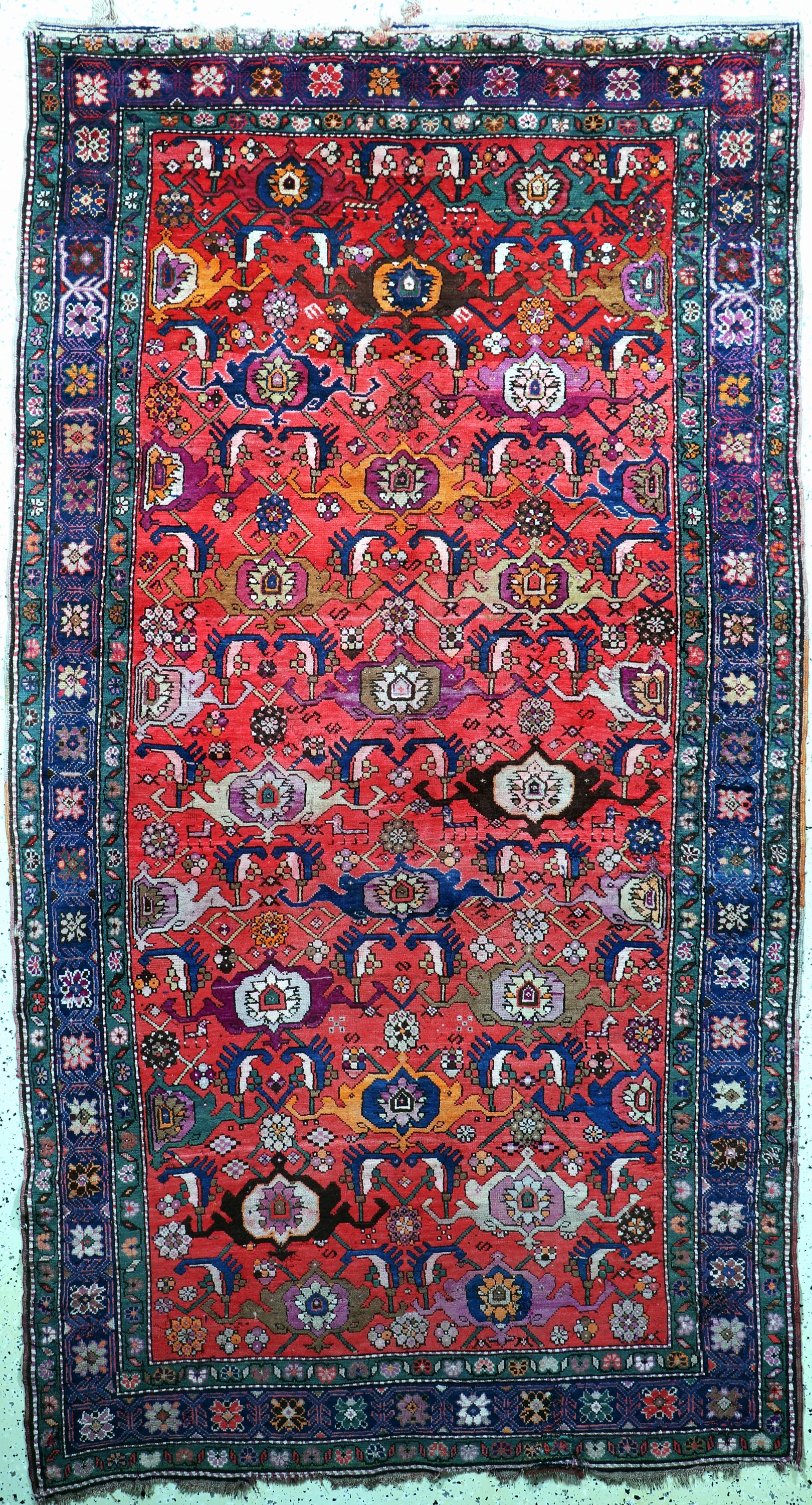 Karabagh antik, Kaukasus, 19.Jhd, Wolle aufWolle, ca. 290 x 155 cm, Mottenfraß, EHZ: 4