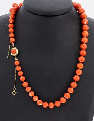 Image Korallen-Collier mit 14 kt Gold Schließe, GG 585/000, Korallen-Kugeln im Verlauf, D. ...