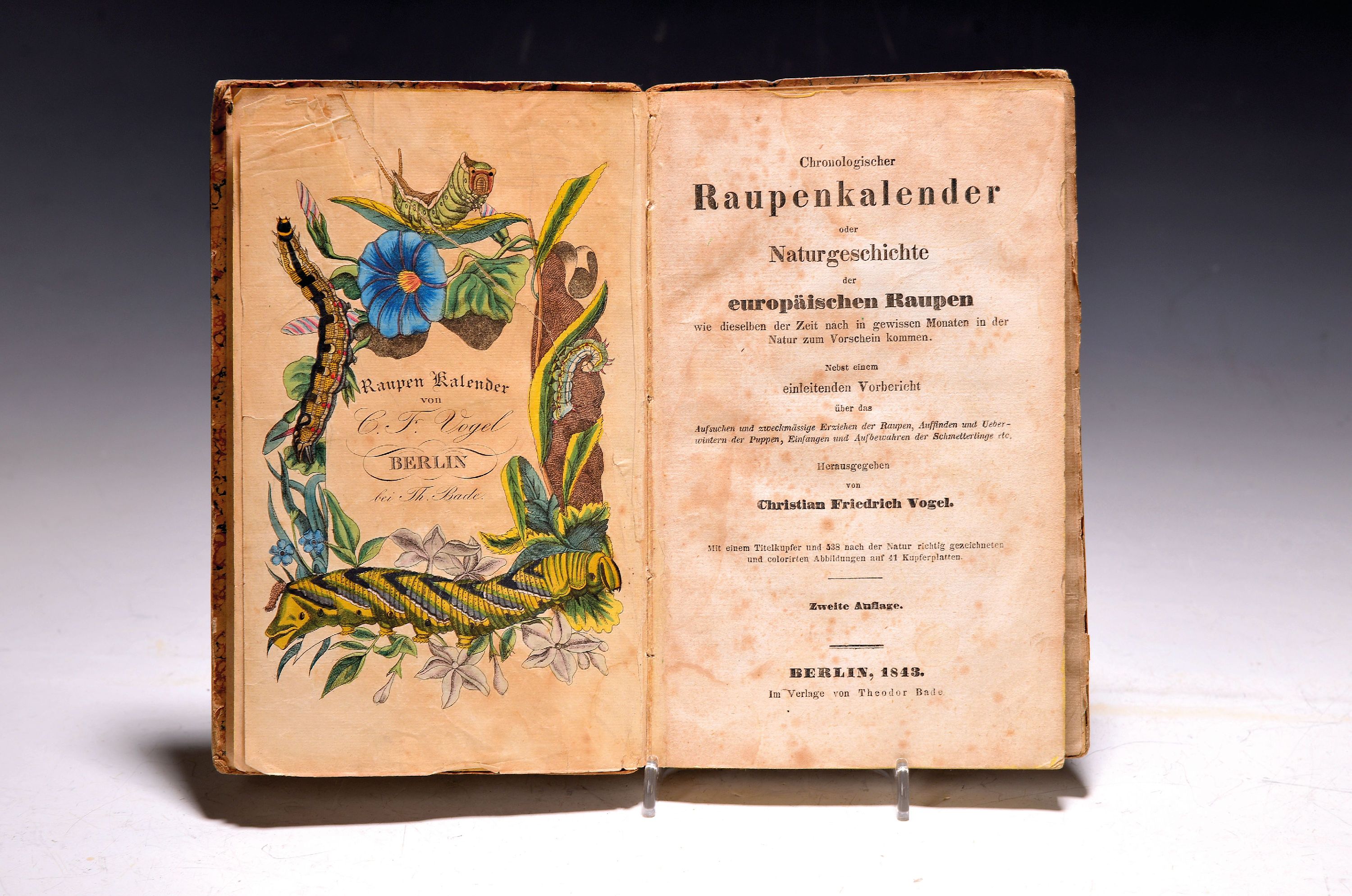 Image 26992673 - Christian Friedrich Vogel (1800-1882): Chronologischer Raupenkalender oder ...