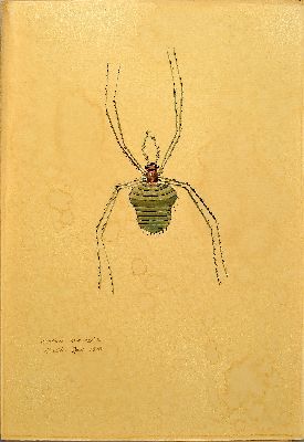 26994759k - Walter Spies, 1895 Moskau-1942, 2 Aquarelle, ´arachnei - arachneida´ 1925 und ´Africanus ...