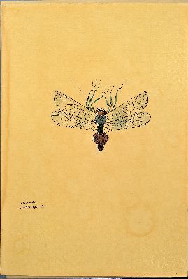 26994853k - Walter Spies, 1895 Moskau-1942, 2 Aquarelle, ´Cercopidae´ 1925 und ´ordo Coleopteronii´ ...