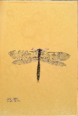 26994856k - Walter Spies, 1895 Moskau-1942, 2 Aquarelle, ´ordo miridae´ 1925 und ´Parlodes ...